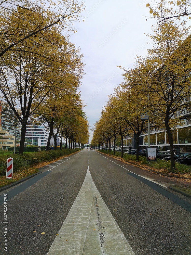 Amsterdam South road