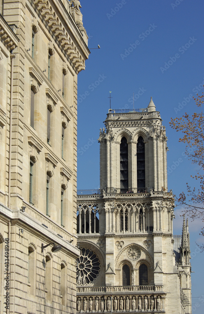 Tour de Notre-Dame à Paris, France