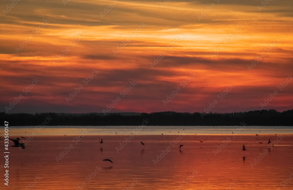 sunset over golden water with birds and clouds sunset over golden water with birds and clouds
