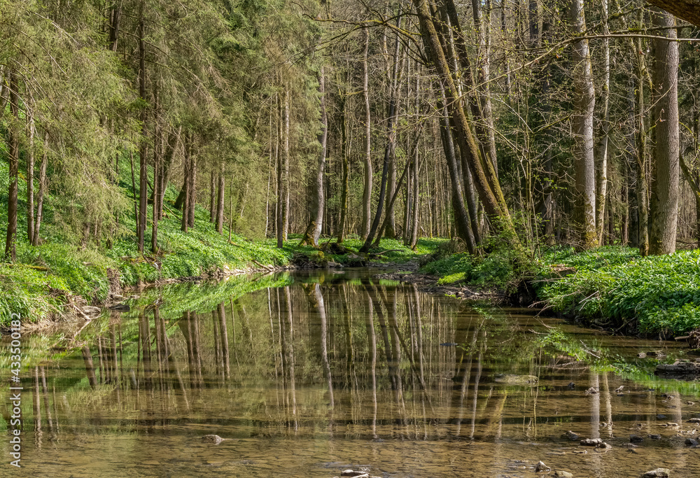 River Kupfer at spring time River Kupfer at spring time