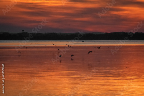 sunset over golden water with birds and clouds