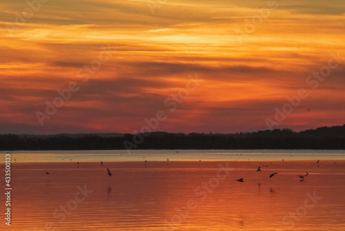 sunset over golden water with birds and clouds