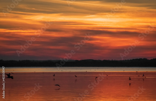 sunset over golden water with birds and clouds