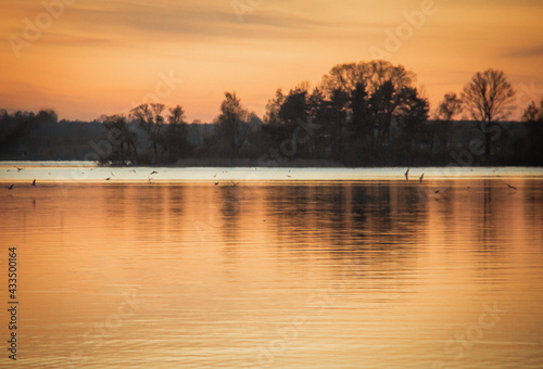 sunset over golden water with birds and clouds