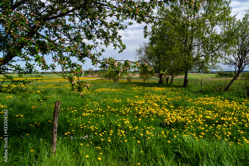  Piękna wiosna na Podlasiu, Polska