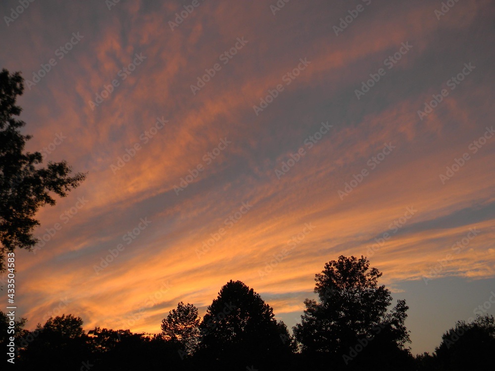 Fototapeta premium Sunset