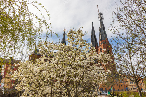 Beautiful view of Uppsala Cathedral Church through spring trees on cloudy sky background. Sweden.