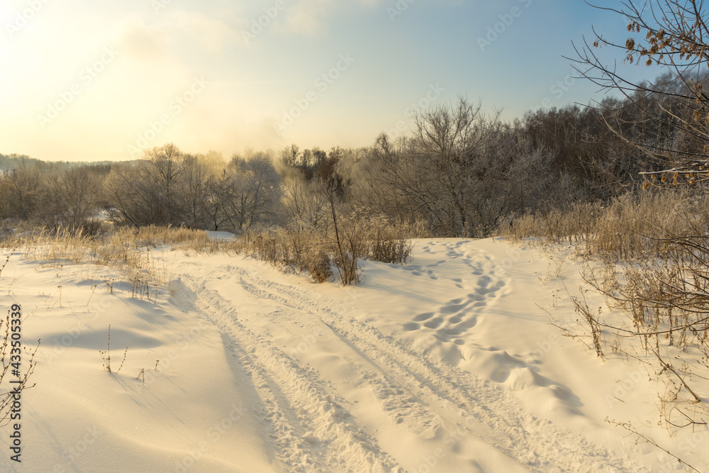 Obraz premium path in the snow