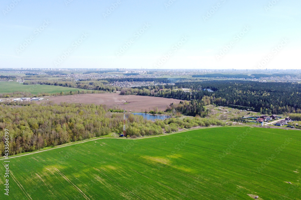 Aerial view of the summer landscape with green fields and meadows