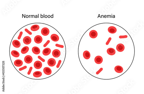 Blood structure concept