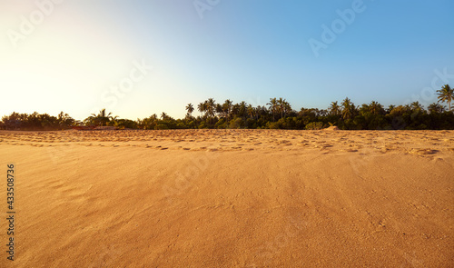 Panoramic view of a wide empty tropical beach at sunset, Sri Lanka.