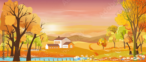 Autumn landscapes of Countryside with sunset and purple sky,Panoramic of mid autumn with farm field, mountains, wild grass and leaves falling from trees in orange foliage. Wonderland in fall season