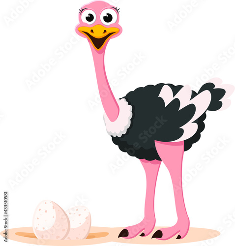 Ostrich and nest with eggs close-up. The character