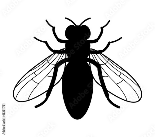 Honey bee silhouette