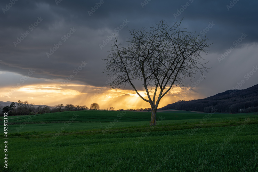 Country landscape in sunshine in Germany