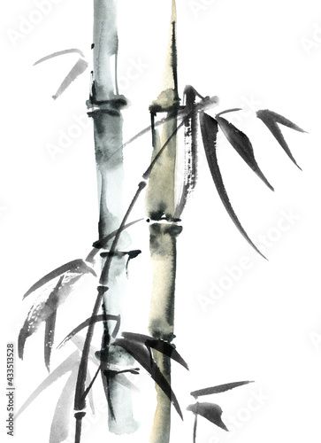 Watercolor bamboo with leaves © ola_tarakanova