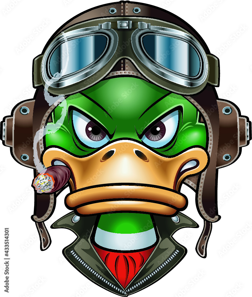 duck with Leather Flying Helmet and goggles Stock Vector Adobe Stock
