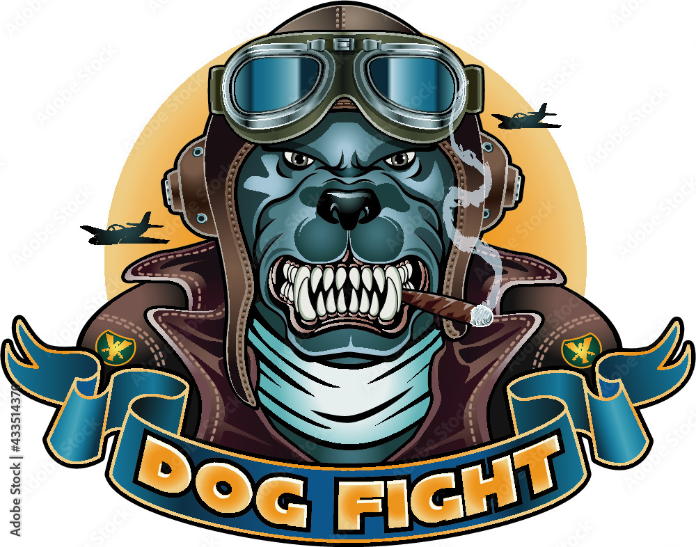 Dog leather helmet and goggles hotsell