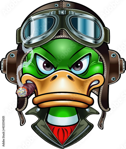 duck with Leather Flying Helmet and goggles
