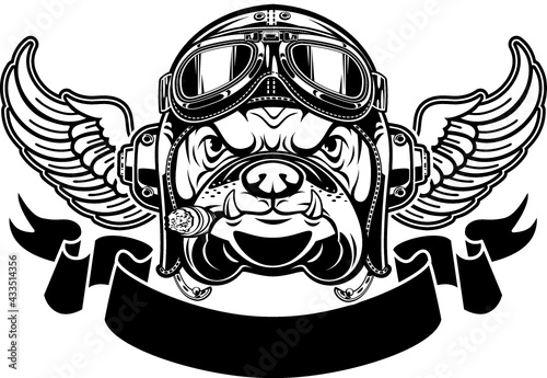 dog with Leather Flying Helmet and goggles