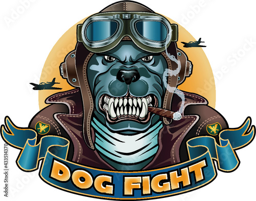 dog with Leather Flying Helmet and goggles