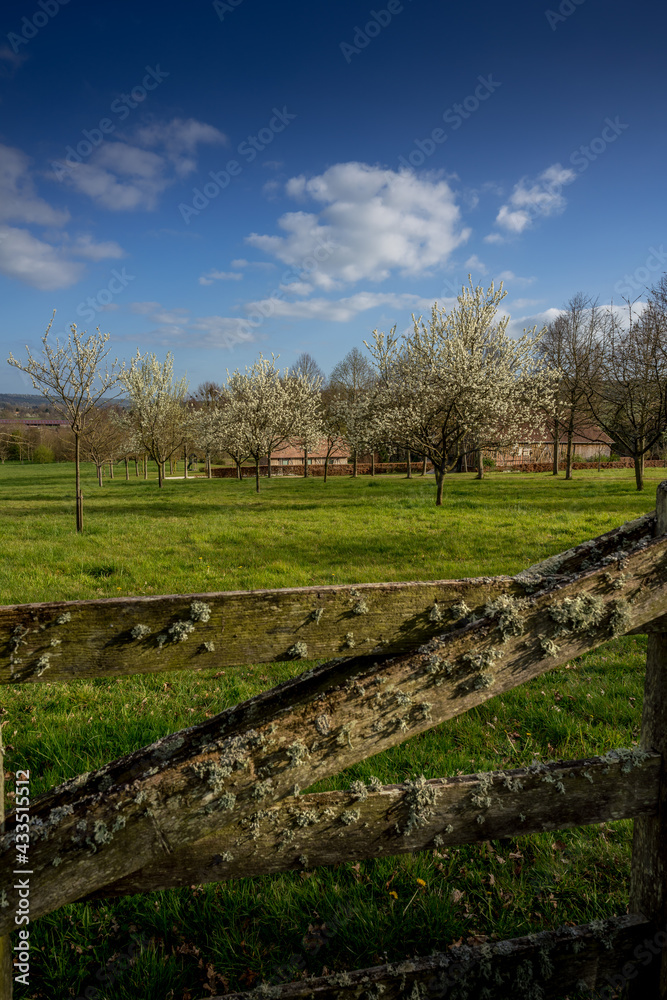 Obraz premium Paysage campagne 856