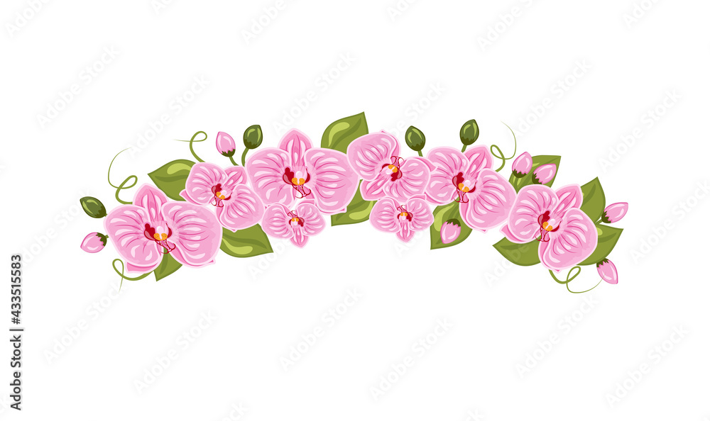Vector illustration of orchid flowers diadem in cartoon style isolated on white background. Vector illustration of orchid flowers diadem in cartoon style isolated on white background.