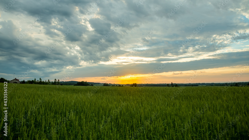 Landscape of Green Field and Beautiful Sunset