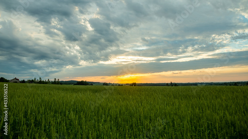 Landscape of Green Field and Beautiful Sunset © Uldis Laganovskis