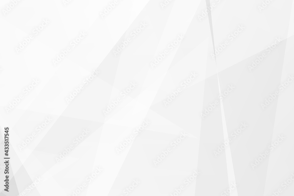 Fototapeta premium Abstract white and grey on light silver background modern design. Vector illustration EPS 10.