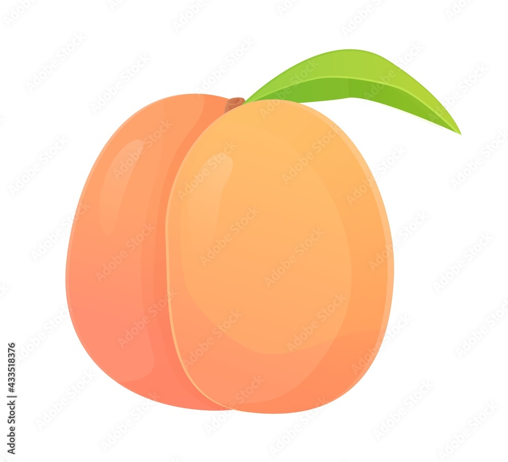 Whole peach fruit. Can be used for healthy diet, harvest natural eco food concept. Stock vector illustration in realistic cartoon style Whole peach fruit. Can be used for healthy diet, harvest natural eco food concept. Stock vector illustration in realistic cartoon style