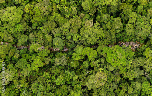 Aerial panorama, a large panorama of a small stream running through the canopy from a tropical forest or the Amazon rainforest