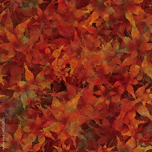 秋の紅葉背景素材