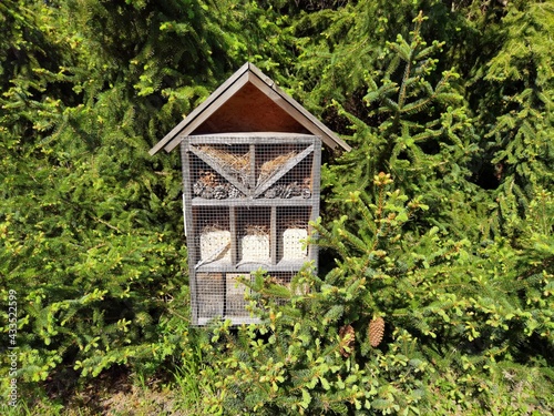 Insect house in the spring forest.