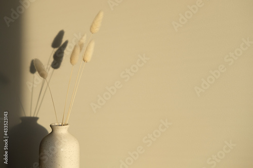 Beige dried bunny tail grass on vase at sunset. Shadows on the wall. Minimal boho style home decoration.
