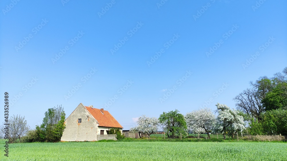 red barn and sky