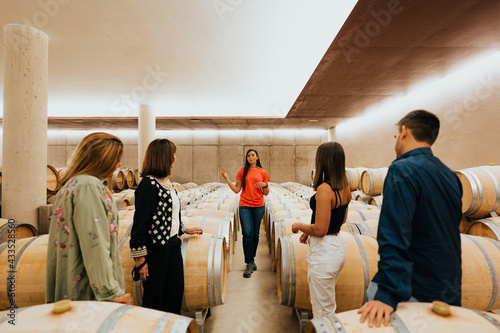 Group of people visiting a winery, listening to the young female guide who explains the wine process