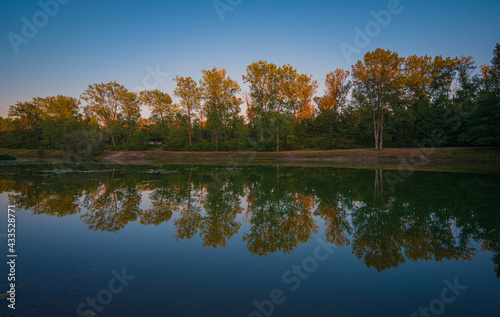 Perfect reflection of green trees in a blue lake with clear sky, sunset coloring treetops orange, background, calm water