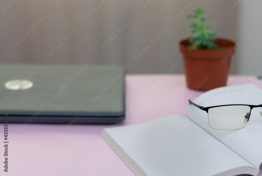 Cactus computer mouse and pink background Cactus computer mouse and pink background
