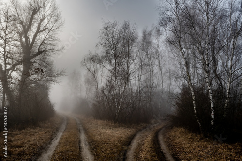 Gravel Road Junction in Misty Forest Landscape photo