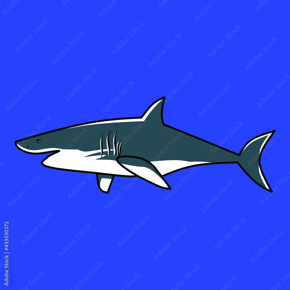 Sharks are a group of elasmobranch fish characterized by a cartilaginous skeleton