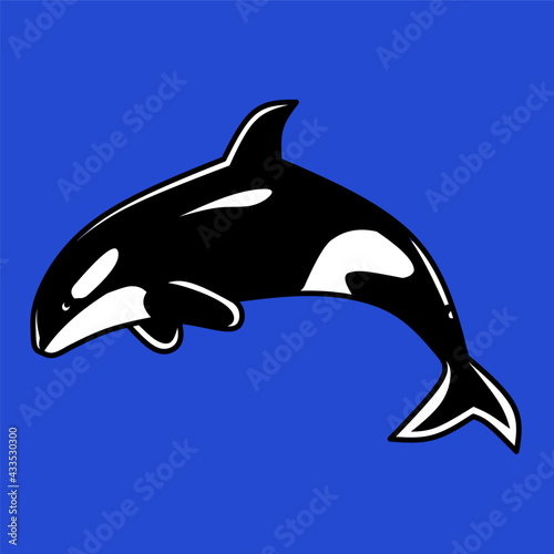 The killer whale or orca (Orcinus orca) is a toothed whale belonging to the oceanic dolphin family
