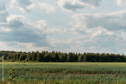 landscape with clouds