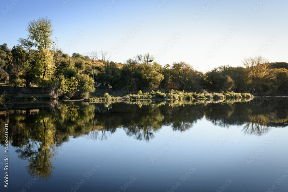 Paisaje simétrico en el estanque del río. Reflejos del bosque sobre la laguna.