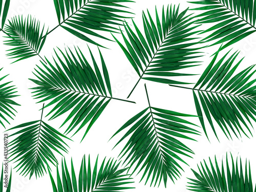 Green leaves seamless pattern. Green leaves of a palm tree on a white background. Seamless natural green pattern.Natural background.
