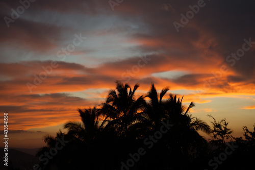 sunset over the field