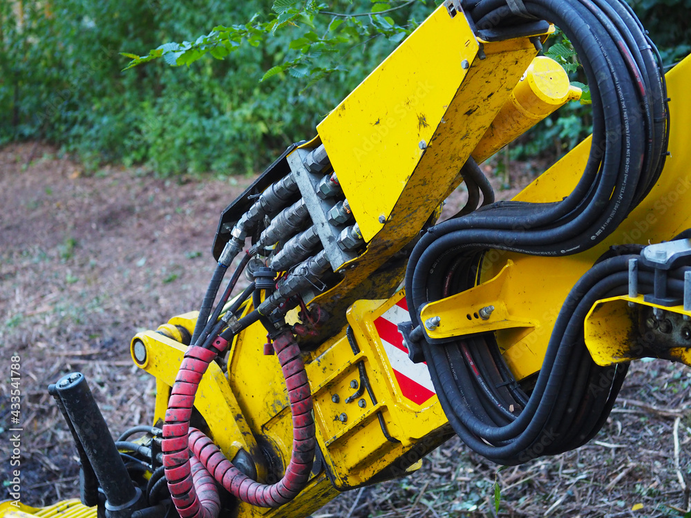 Fototapeta premium Starker Arm