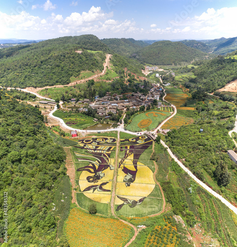 Aerial view of colored rice fields in Yiliang county, Yunnan - China photo