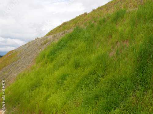 Permanent slope protection with the natural grass using the hydroseed method. The grass used to stabilizes the slope structure and prevent slope erosion. Effective and less maintenance. 
 photo