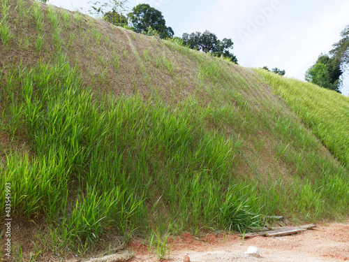 Permanent slope protection with the natural grass using the hydroseed method. The grass used to stabilizes the slope structure and prevent slope erosion. Effective and less maintenance. 
 photo